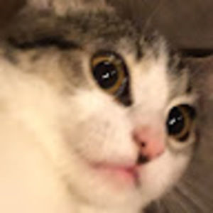 Meet your Posher, Lizbeth